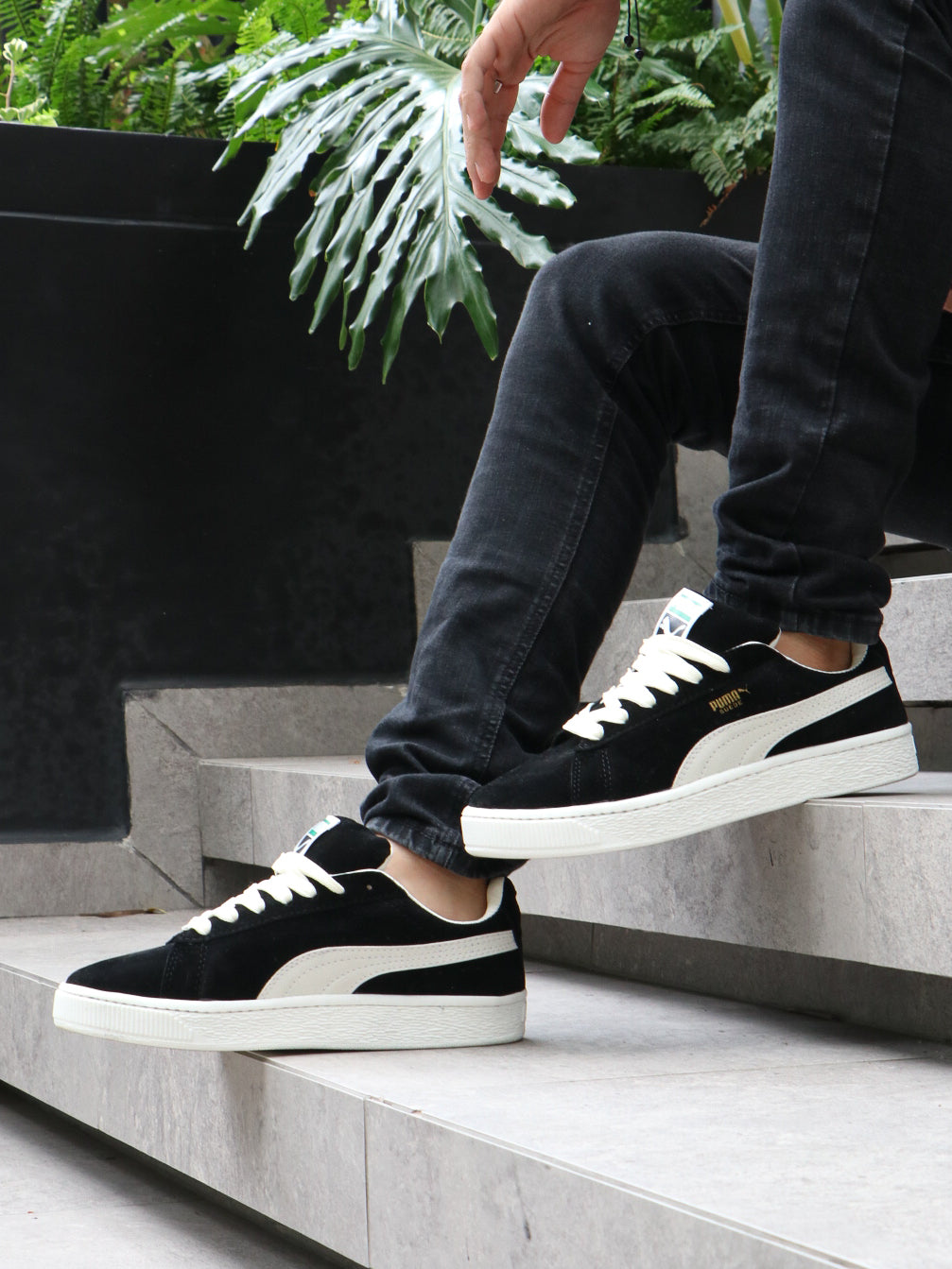 PUMA SUEDE